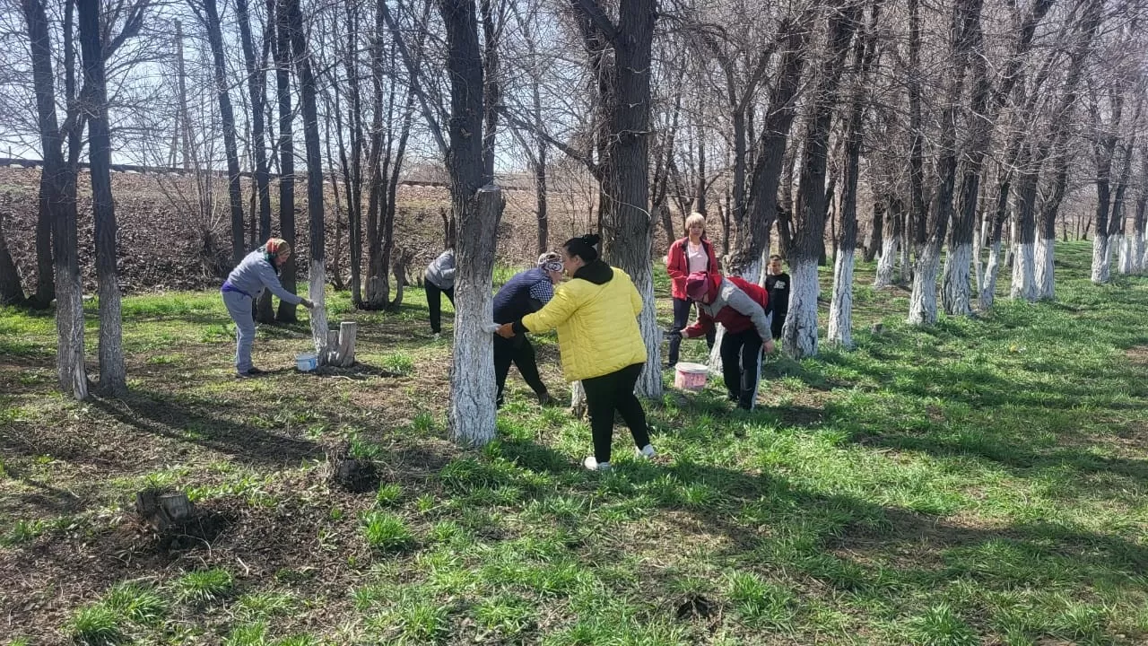 Ұлытау облысында тарихи ескерткіштер аумағы тазартылды