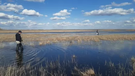 Костанайцы ловят рыбу в поле