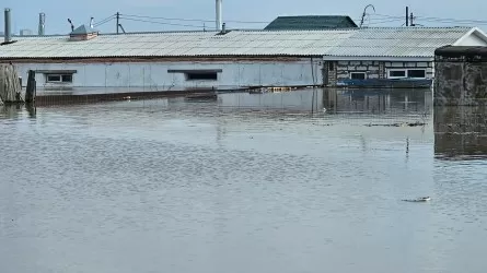 В СКО от паводков пострадало около 100 предприятий 