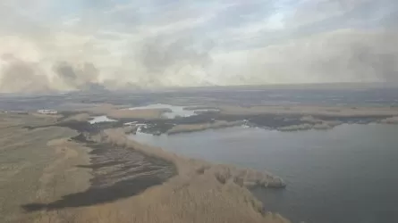 Третьи сутки тушат природный пожар в Алматинской области