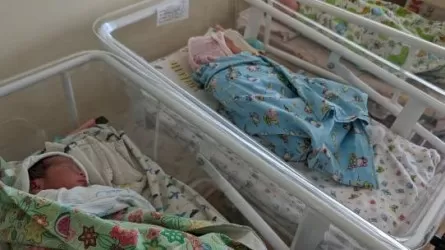 Қостанайда алты жылдан кейін алғаш рет үшем дүниеге келді