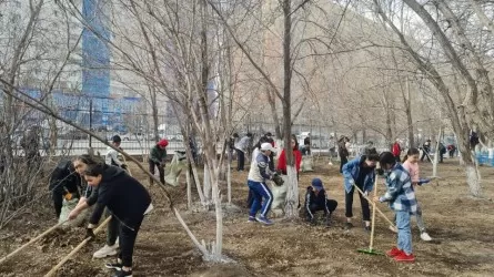 В Астане собираются провести весенний экомесячник