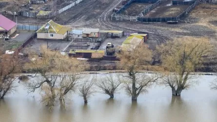 Қостанай облысының оңтүстігінде су тасқынынан зардап шеккен халық үйлеріне оралуда 