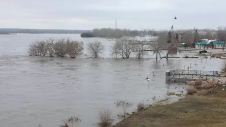 374 млн кубометров воды собрано на 11 апреля в водохранилищах ЗКО 