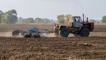 Какие новшества ожидают аграриев Казахстана в господдержке  