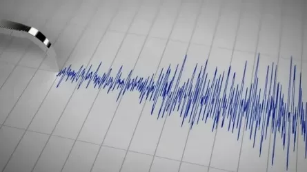 Сейсмологи сообщили о землетрясении, случившемся в 283 км от Алматы