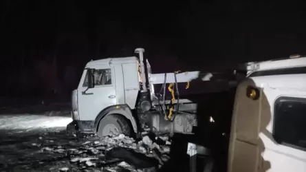Астана-Петропавл тас жолында екі жүк көлігі соқтығысып, жүргізуші қаза тапты