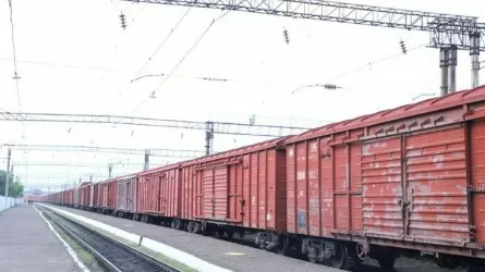 Қазақстанға Тәжікстаннан 3500 тонна гуманитарлық көмек жетті