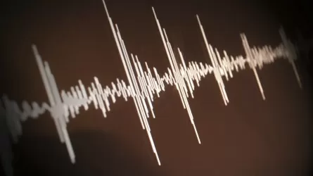 Землетрясение магнитудой 4.4 произошло в Казахстане