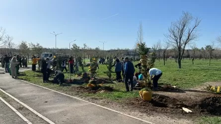 Карагандинцы посадили тысячи деревьев, убрались во дворах и установили скворечники