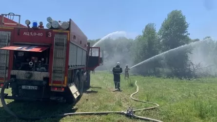 Биылғы жылы еліміздің жеті оңтүстік өңірінде өрт қауіпті маусым 20 наурыздан басталды 