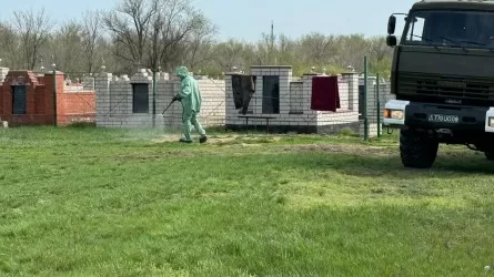 Ақтөбеде 5 мың гектар аумақта зарарсыздандыру жұмыстары жүріп жатыр