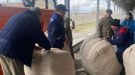 Паводки в Казахстане: пострадавшим отправят материальные ценности из госматрезерва
