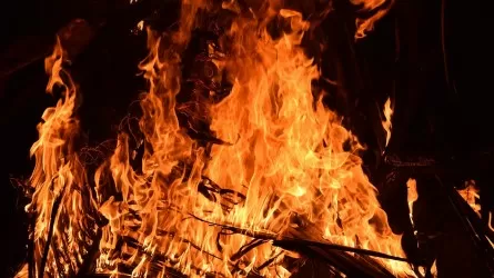 Пожар в Атырауской области: горят сотни тонн сена