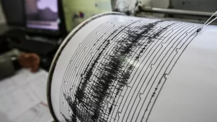 Землетрясение случилось в 273 км от Алматы
