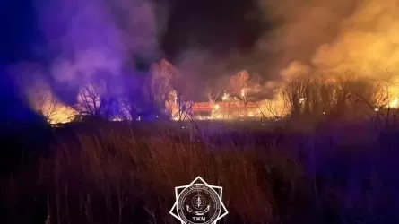 Алтын Емел ұлттық паркінің аумағында қамыс өртенді