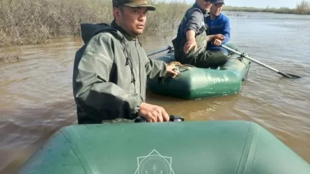 Оралда Жайық өзенінің деңгейі 858 сантиметрге жетті