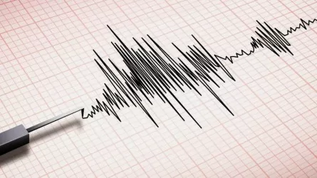 В 474 км от Алматы случилось землетрясение