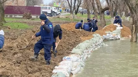 «Үлкен табиғи апат»: Мамандар су тасқынының себептерін атады