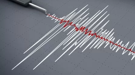 В 528 км от Алматы случилось землетрясение