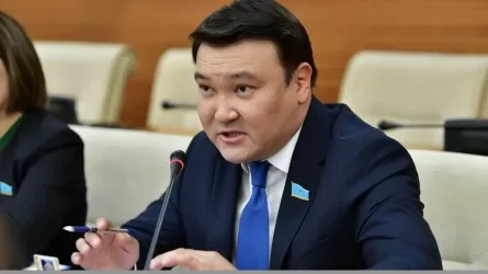 «Кейбір ауданда қайық пен резеңке етік атымен жоқ»: Депутат әкімдіктер мен Үкімет жұмысын сынға алды 