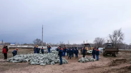 Жайық өзенінің бойында 473 шақырым қорғаныс бөгеті салынды