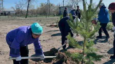 «Таза Қазақстан»: Павлодар облысының тұрғындары туған өлкесін абаттандыруға белсенді қатысуда.