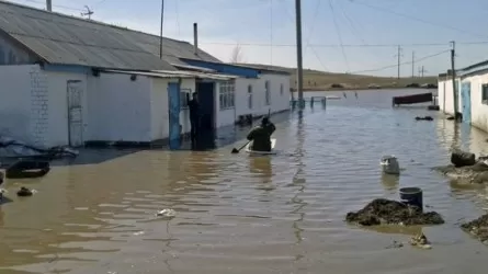 Су тасқынынан зардап шеккендерге келтірілген шығындар қалай өтеледі?