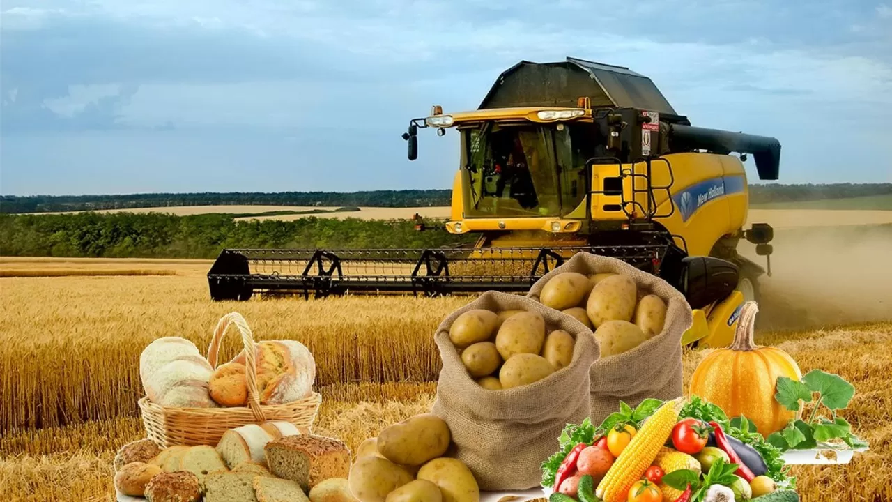 "Органикалық өнім өндірісі және айналымы туралы" заң Сенат отырысында мақұлданды