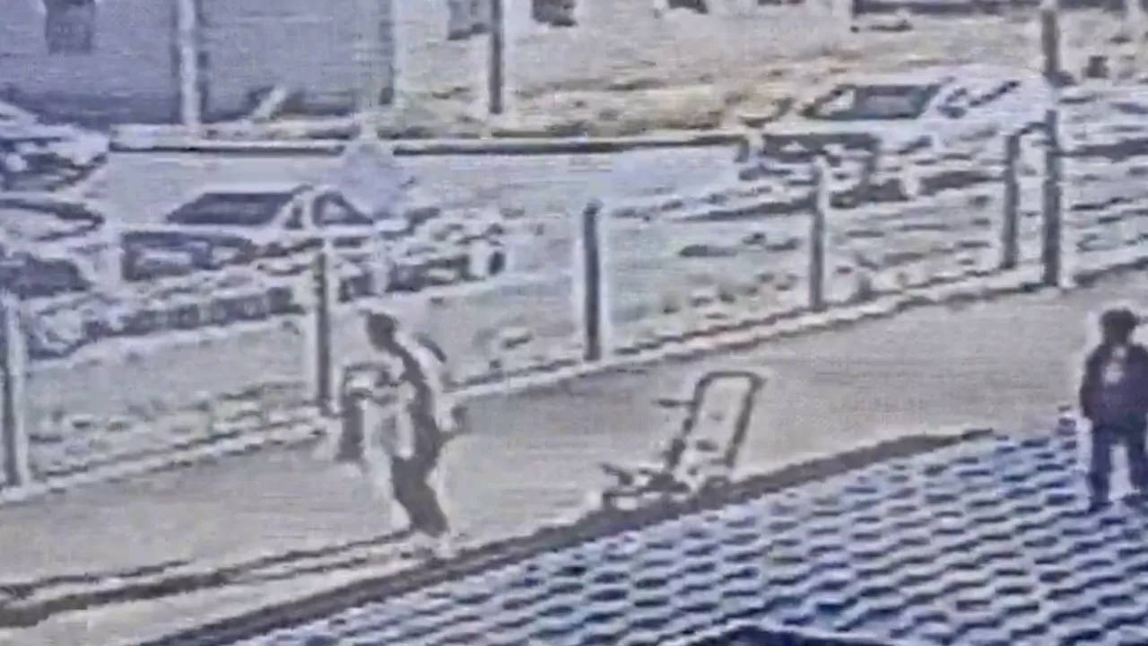 Атырауда балалардың көзінше күшікті аяусыз қорлаған ер адамға қылмыстық іс қозғалды