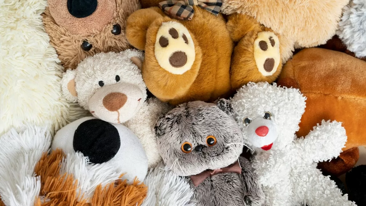 Қазақстанда жүн мен былғарыдан жасалған ойыншықтарды сатуға тыйым салынбақ