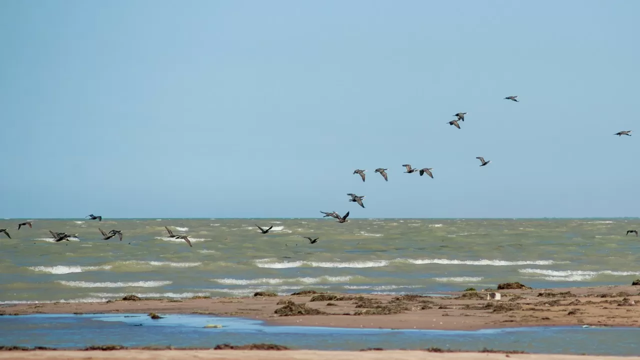 Миллиард кубометров паводковой воды слили в Каспийское море