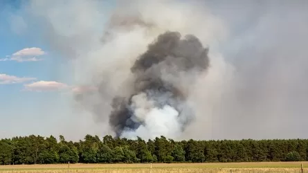 Кто понес наказание за гибель 14 лесников в Абайской области? 