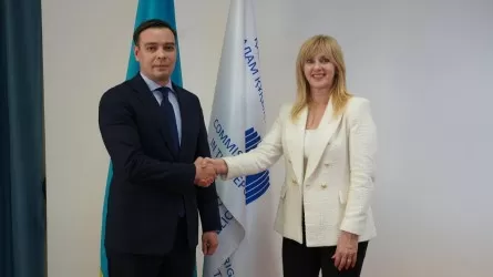 Что обсуждали уполномоченные по правам человека Казахстана и ФРГ? 