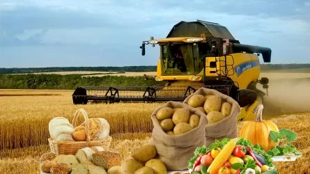 «Органикалық өнім өндірісі және айналымы туралы» заң Сенат отырысында мақұлданды