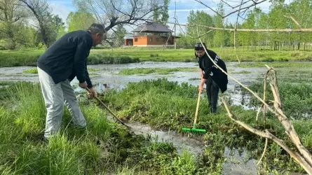 Реки и родники очистили волонтеры в Урджарском районе Абайской области