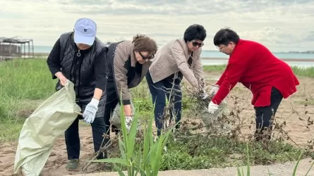 10 тонн мусора вывезено с берегов Капшагайского водохранилища 