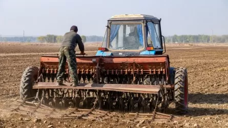 Жаппай егіс науқаны қашан басталады? – министр жауабы 