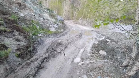 Сошедший сель угрожает трассе в одном из районов ВКО 