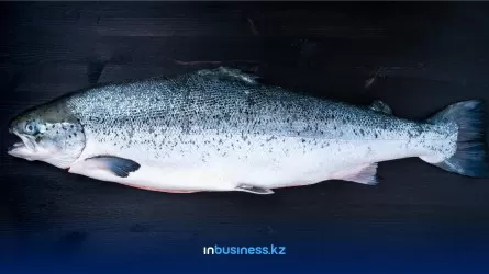 Какая рыба и в каких регионах остается самой доступной для казахстанцев?