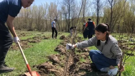 «Таза Қазақстан» – халқымыздың көзқарасын, болмысын өзгерте алатын өте маңызды жоба