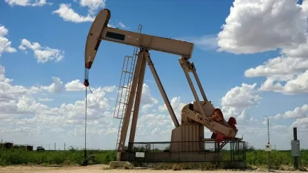 Цены на нефть вновь растут  