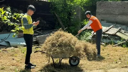 Түркістан облысында жастар мен еріктілер қариялардың үй аулаларына сенбіліктер өткізді