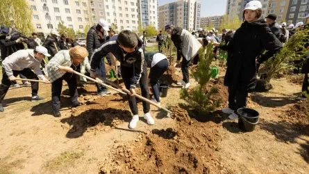 180 мыңнан астам мектеп түлегі елімізді көгалдандыруға атсалысты