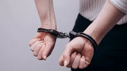 Миннауки РК намерено экстрадировать беглую студентку из Англии
