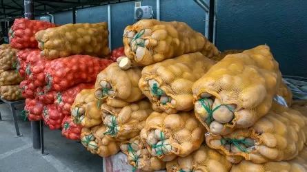 Павлодар пополнит запасы стабфонда сотнями тонн картофеля и лука из Узбекистана