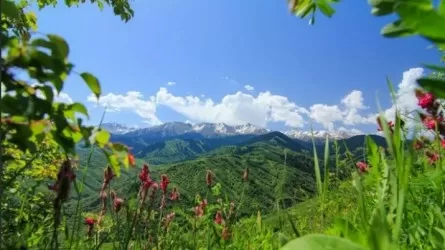 Маусымның алғашқы күндерінде ауа райы қандай болады 
