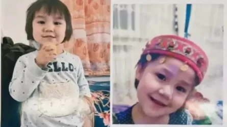 «Қақпаның жанында ойнап жүрген еді»: Түркістан облысында жоғалып кеткен 3 жасар қыз табылмай жатыр
