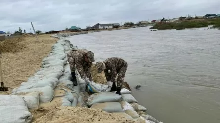 Свыше 60 тыс. человек вернулись в свои дома после паводков в Казахстане 