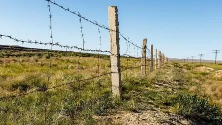 Вооруженный инцидент между пограничниками и чабанами произошел на границе Кыргызстана и Таджикистана